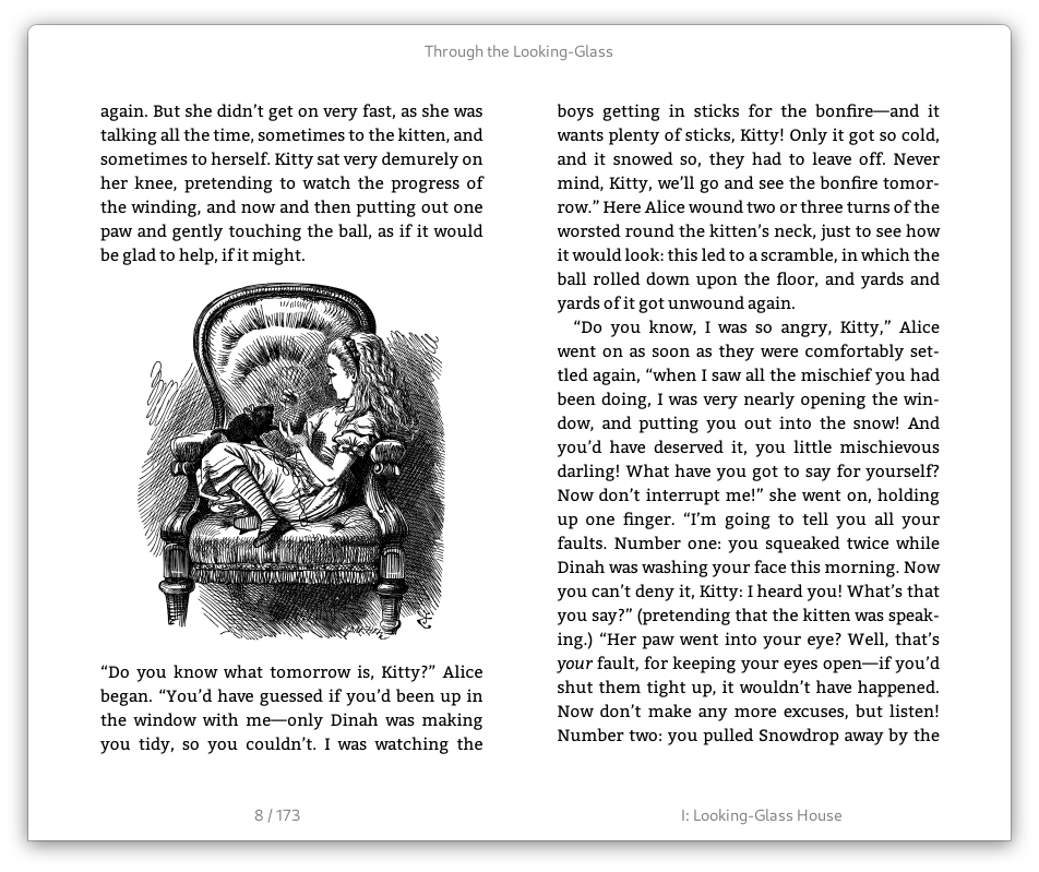 Install Foliate on Linux Snap Store