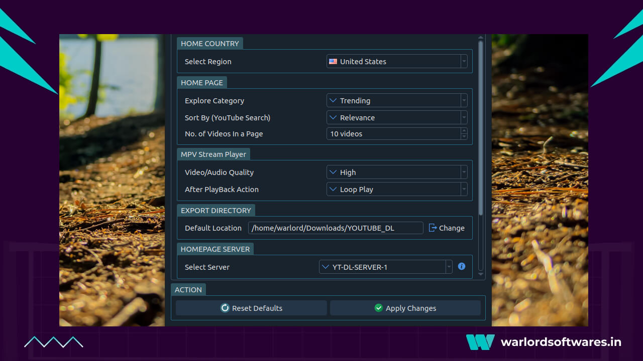Install youtube downloader on linux snap store