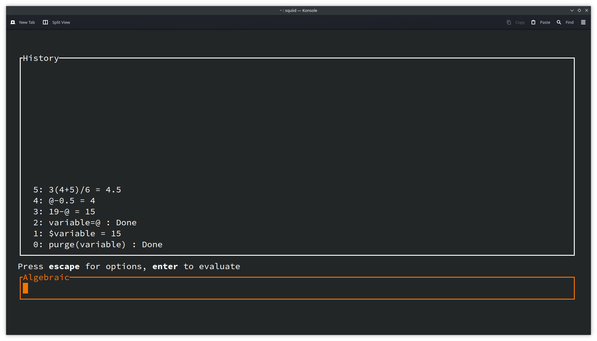 Install squiid on elementary os using the snap store snapcraft